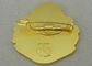 O Pin duro sintético militar do esmalte liga de zinco morre carcaça com chapeamento do broche/ouro