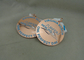 Medalhas ligas de zinco das fitas da concessão, medalhas amigáveis da concessão de Eco para crianças