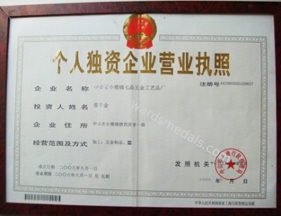 China pins centre company ltd Certificações